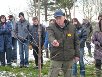 Brian Thompsett demonstrates how to prune a young Cheerfull Gold tree